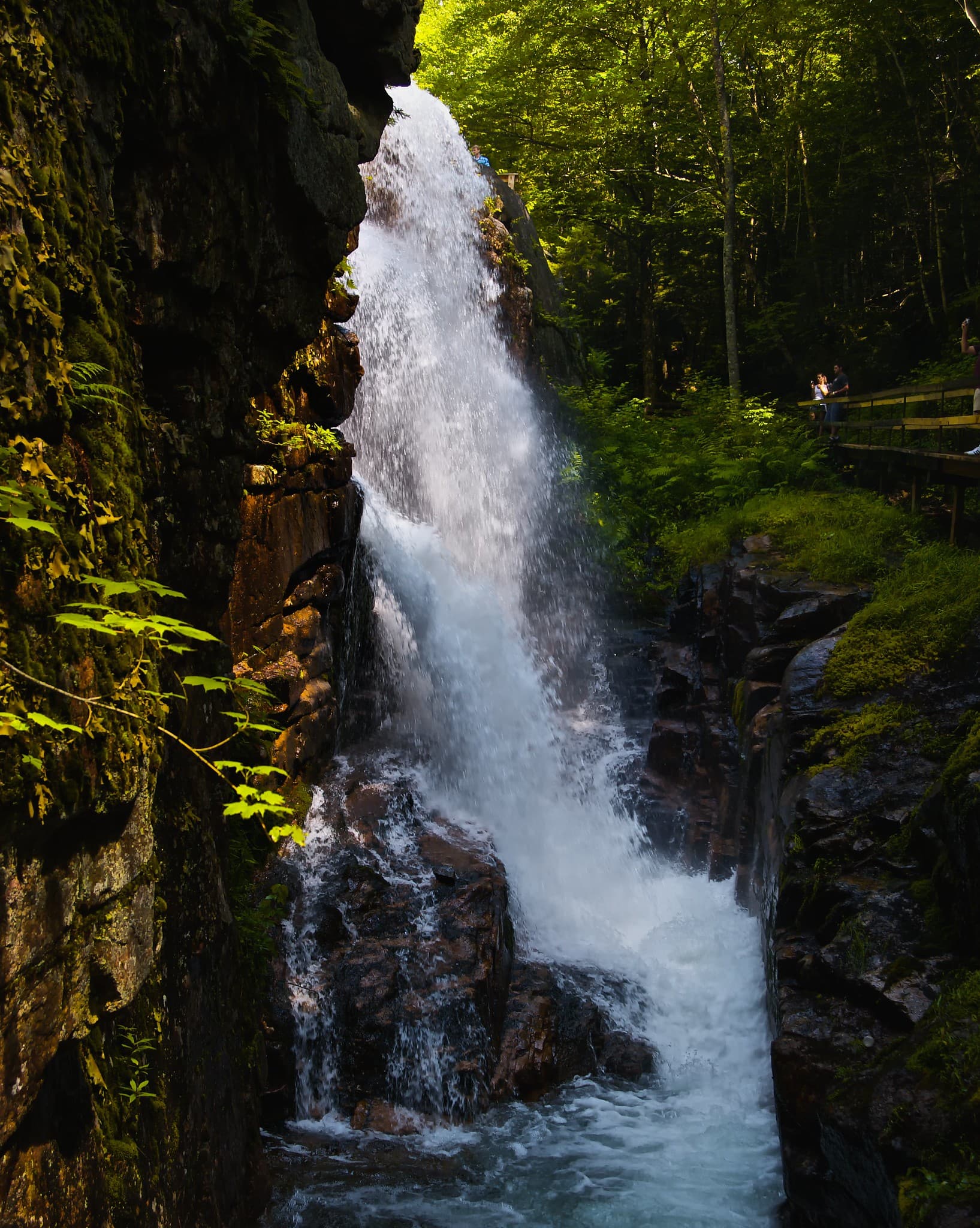 Flume Gorge view in New Hampshire, gallery 4. User supplied image. Verify rights before public publish.