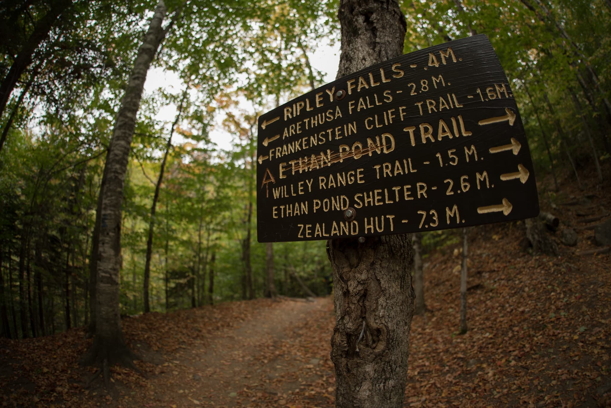 Ripley Falls scene in New Hampshire (gallery 4). User supplied image; verify rights before public publish.