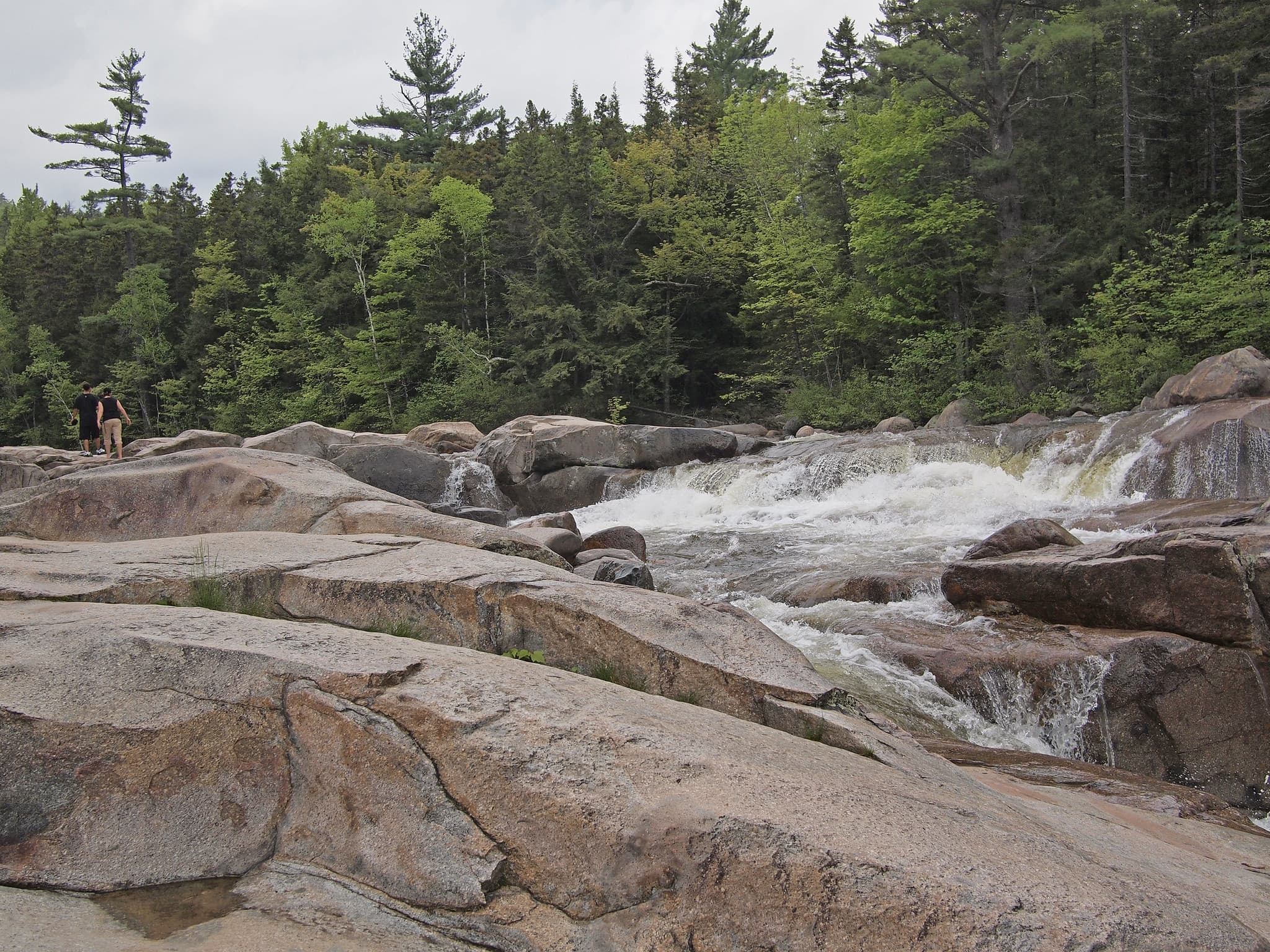 Lower Falls Scenic Area sign near Albany, New Hampshire. User supplied image. Verify rights before public publish.