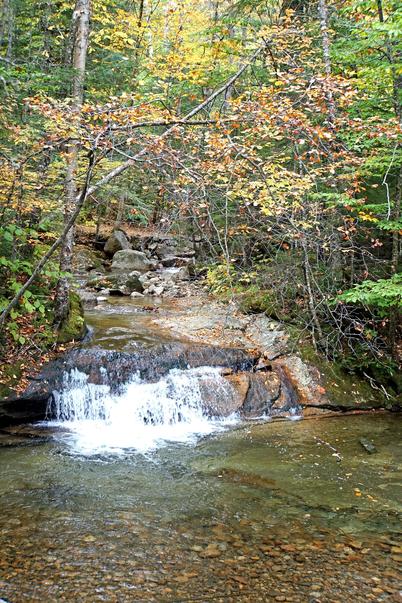 The Basin scene in New Hampshire (gallery 1). User supplied image; verify rights before public publish.