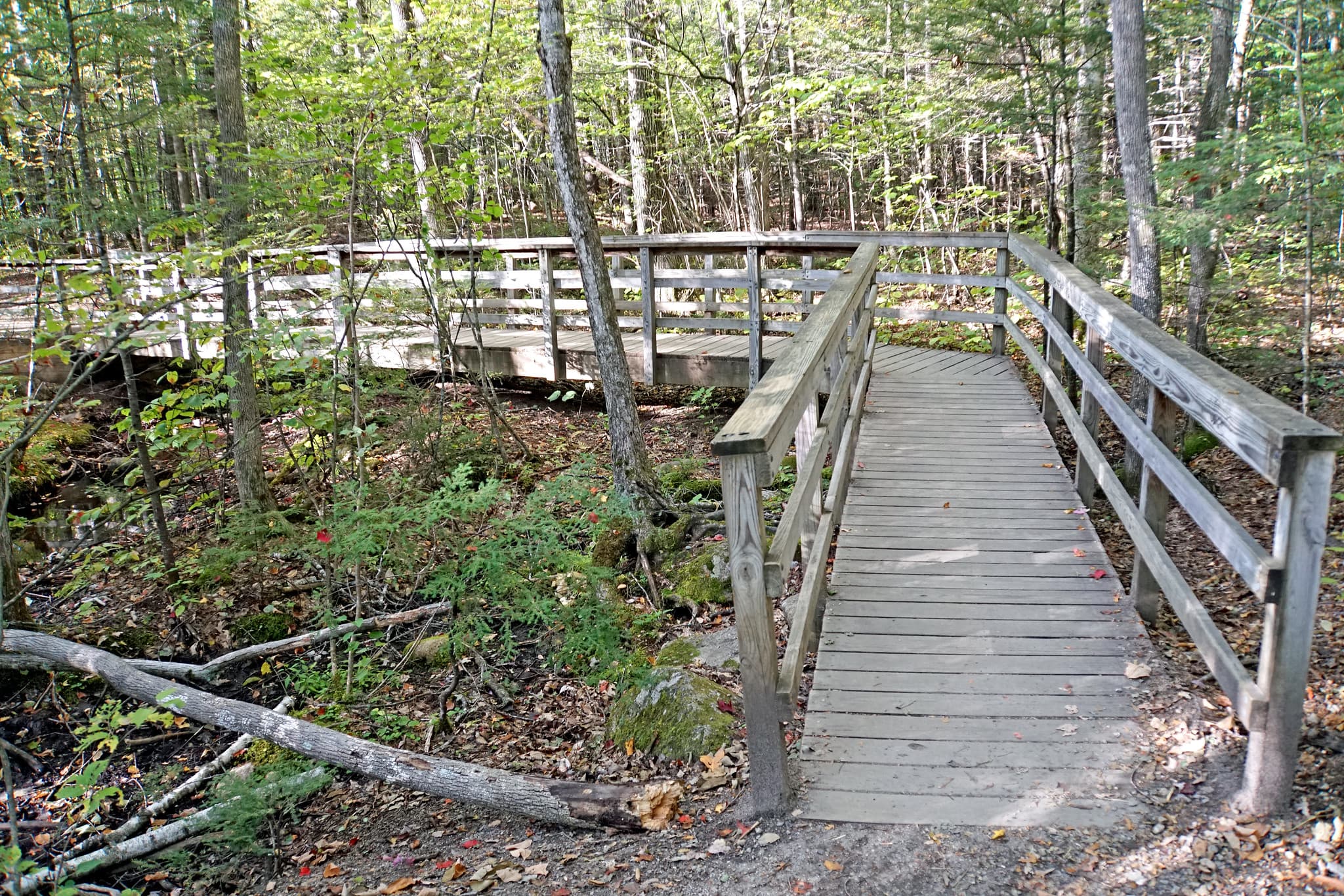 Dianas Baths scene in New Hampshire (gallery 1). User-supplied image; verify license/ownership before public publish.