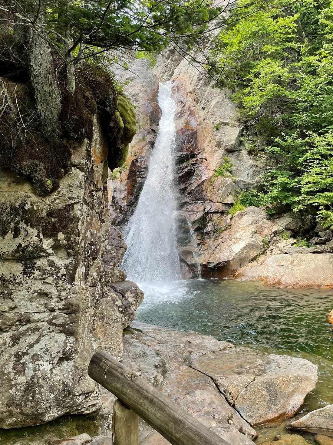 Glen Ellis Falls scene in New Hampshire (gallery 1). User supplied image; verify rights before public publish.