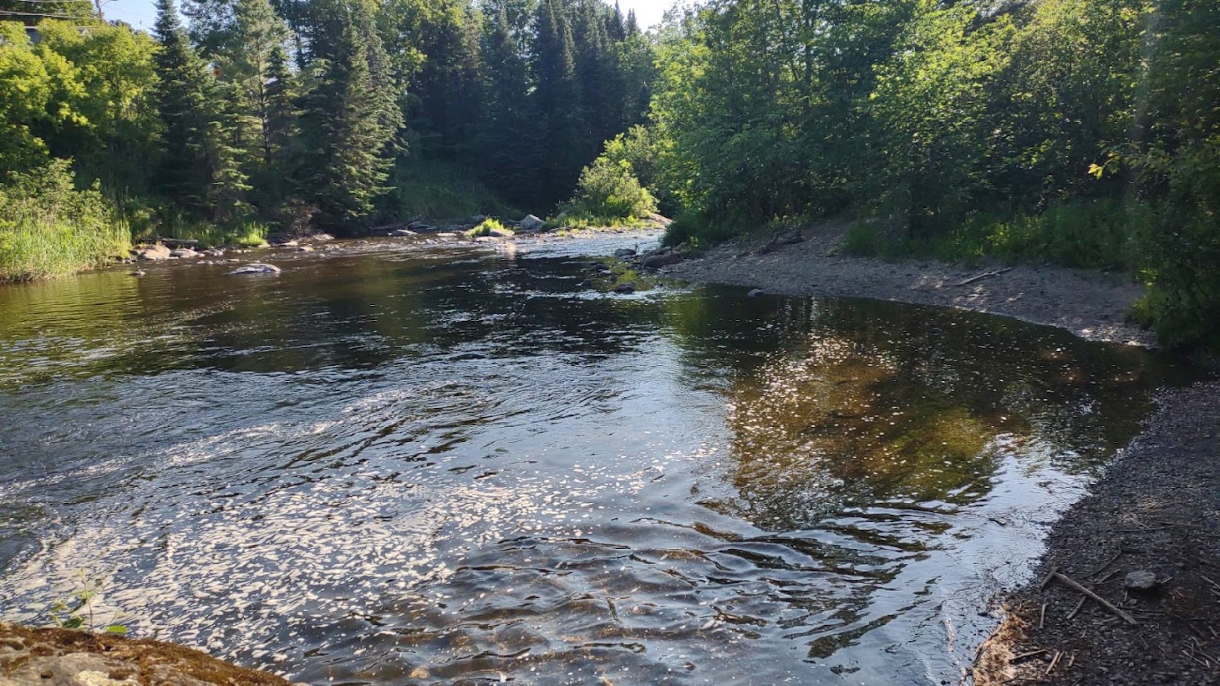 Broad calm river pool at Beard Recreation Park on the Gihon River in Johnson, Vermont.