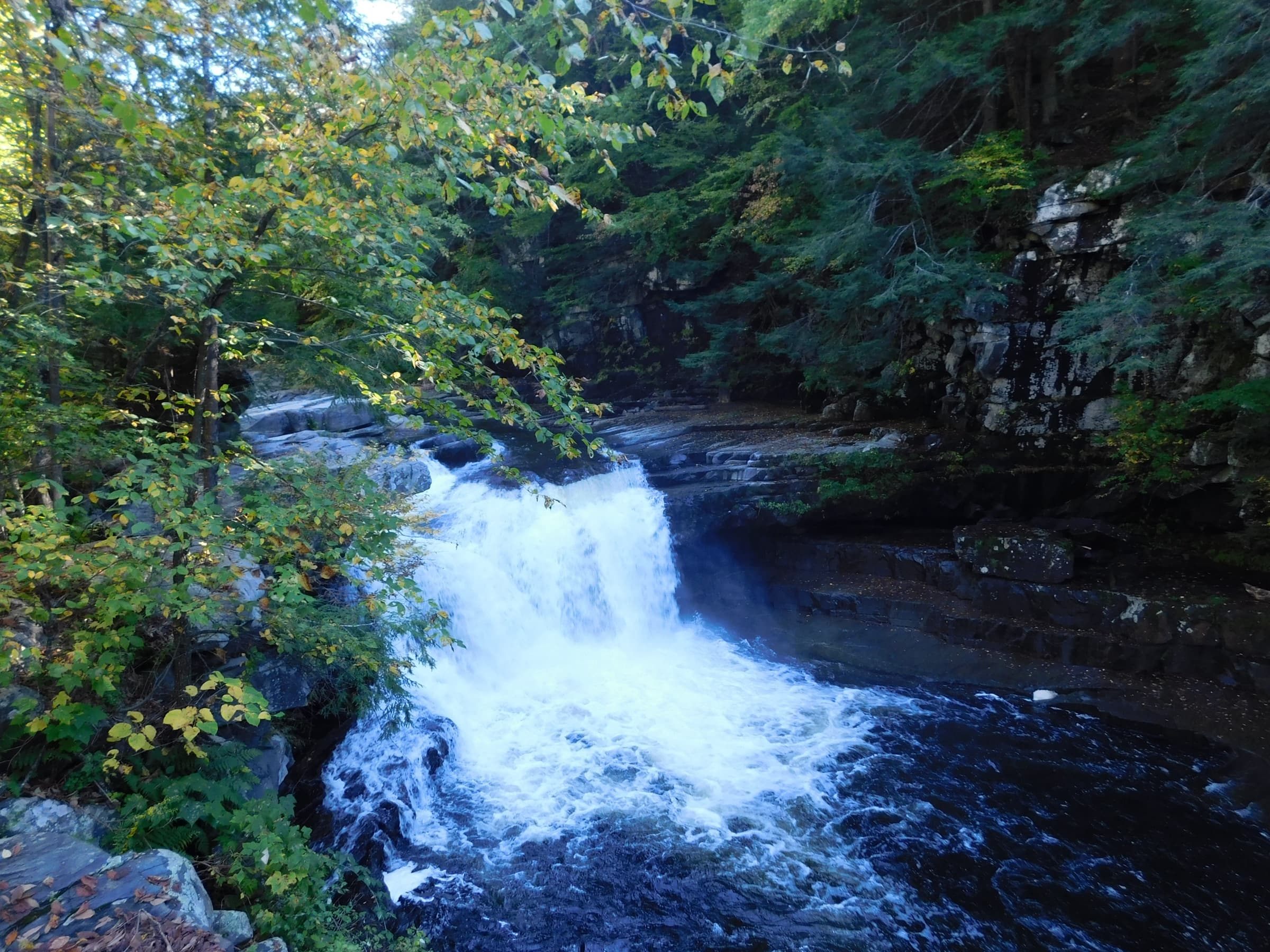 New Haven River at Bristol Falls