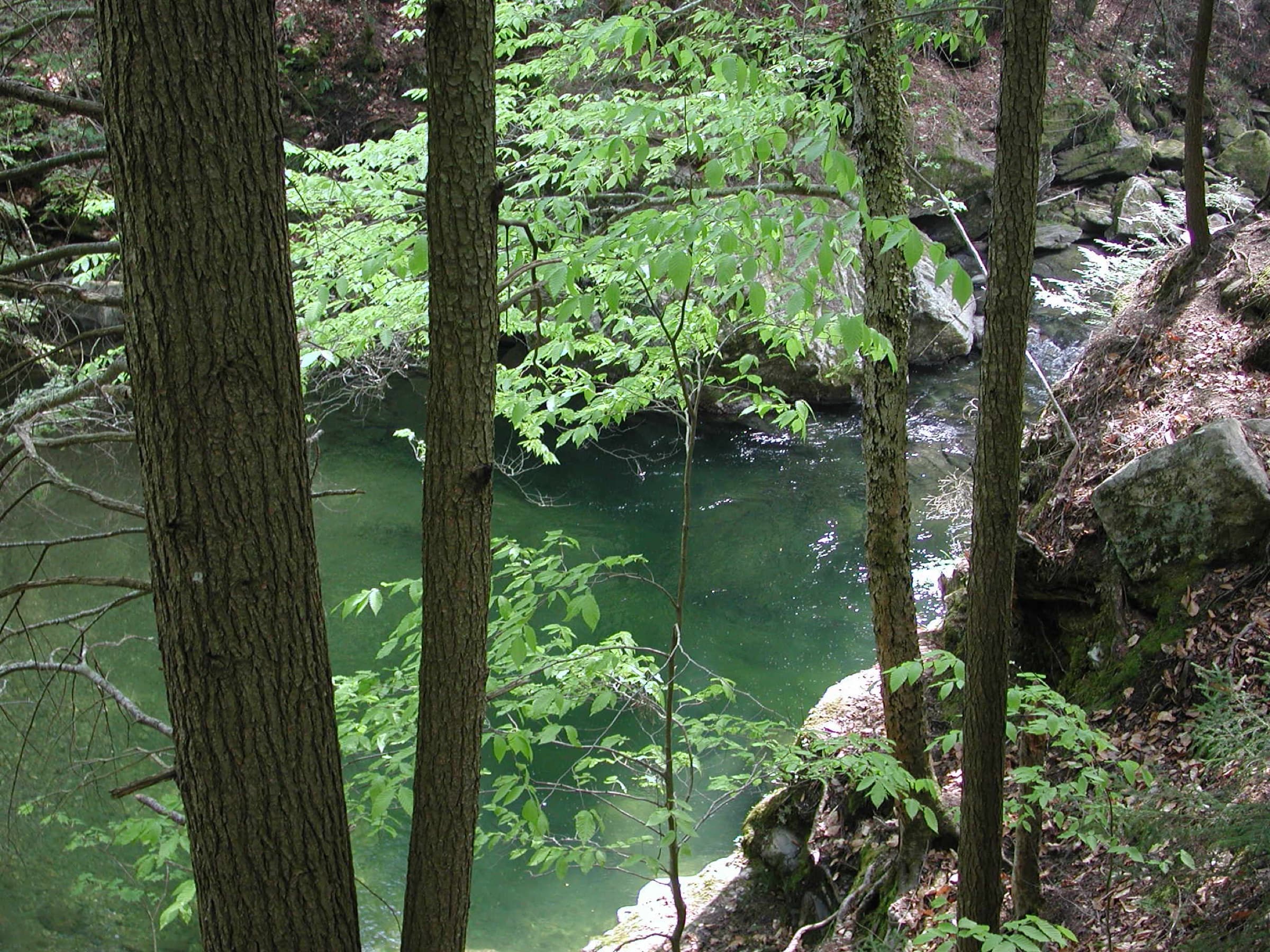 Overlook through trees down to an emerald pool at Twenty-Foot Hole.