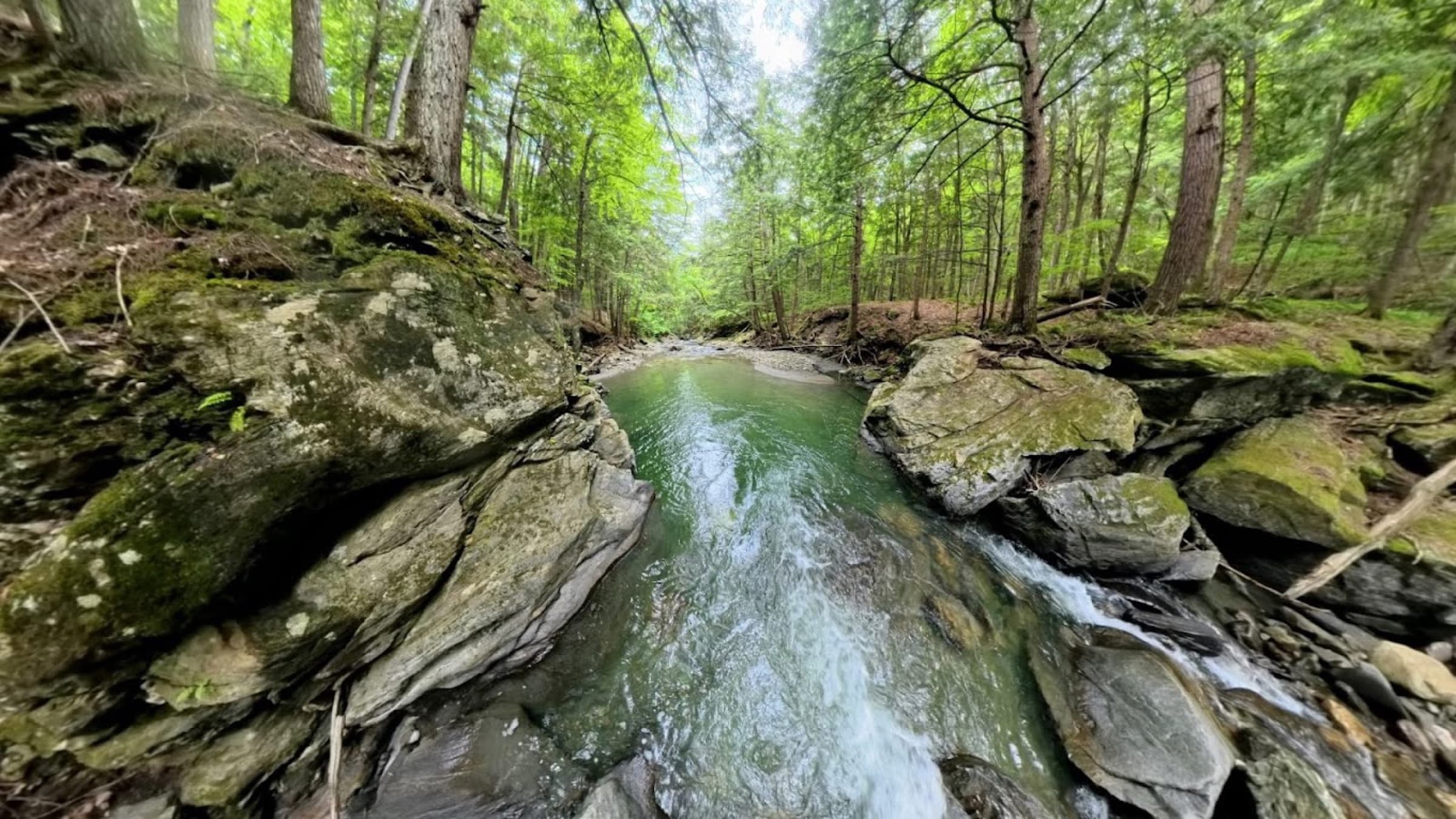 Wide view over the main green pool at Twenty-Foot Hole, with rocky banks and mixed forest in Reading, Vermont.