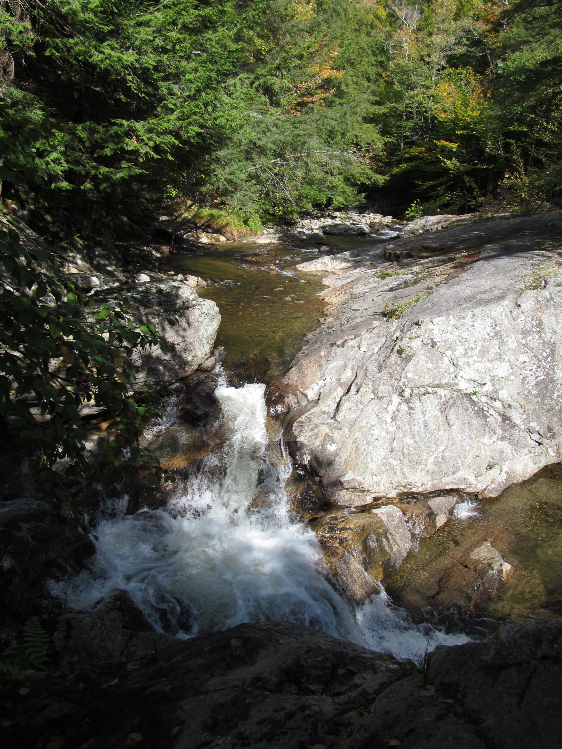Shallow clear stream over smooth grey rock above a small falls, dense green forest at Buttermilk Falls, Ludlow, Vermont.